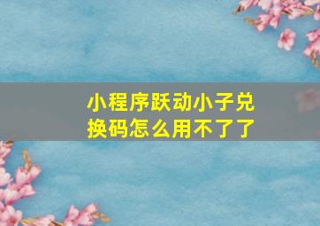 小程序跃动小子兑换码怎么用不了了