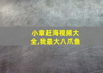 小章赶海视频大全,我最大八爪鱼