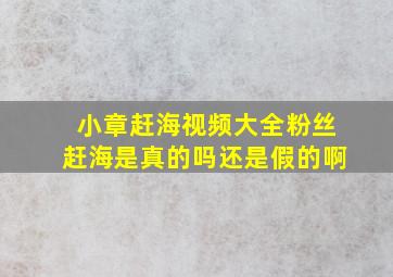 小章赶海视频大全粉丝赶海是真的吗还是假的啊