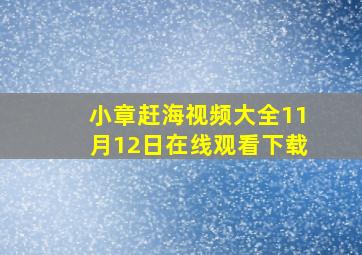 小章赶海视频大全11月12日在线观看下载