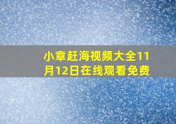 小章赶海视频大全11月12日在线观看免费