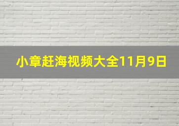 小章赶海视频大全11月9日