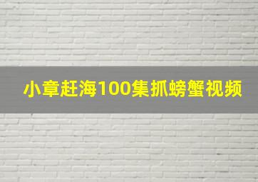 小章赶海100集抓螃蟹视频