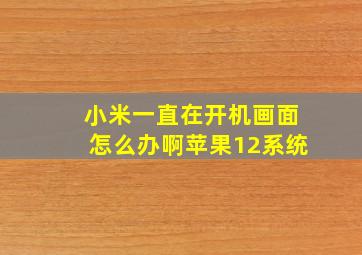 小米一直在开机画面怎么办啊苹果12系统