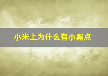 小米上为什么有小黑点