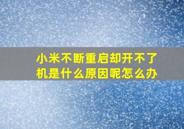 小米不断重启却开不了机是什么原因呢怎么办