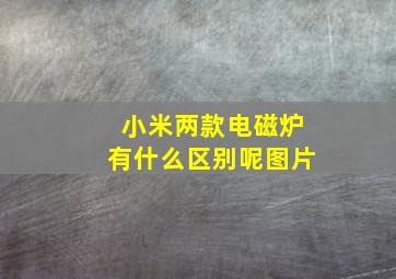 小米两款电磁炉有什么区别呢图片