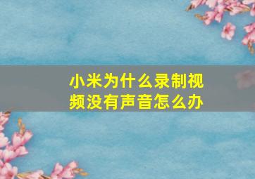 小米为什么录制视频没有声音怎么办