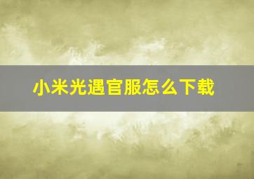 小米光遇官服怎么下载