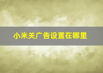 小米关广告设置在哪里