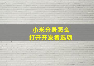 小米分身怎么打开开发者选项