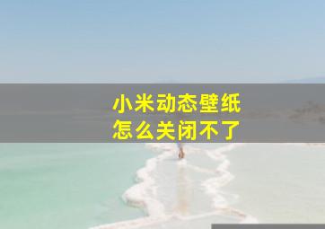 小米动态壁纸怎么关闭不了