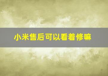 小米售后可以看着修嘛