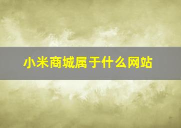 小米商城属于什么网站