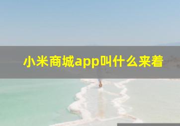 小米商城app叫什么来着