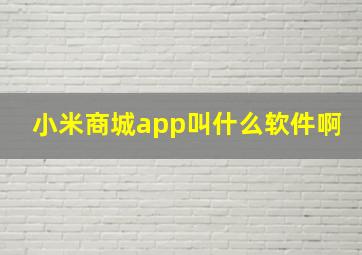 小米商城app叫什么软件啊