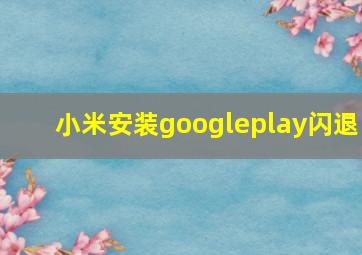 小米安装googleplay闪退