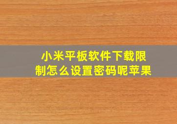 小米平板软件下载限制怎么设置密码呢苹果