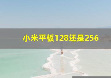 小米平板128还是256