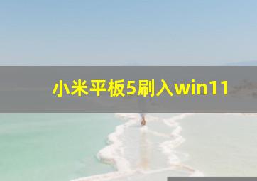 小米平板5刷入win11