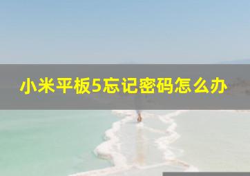 小米平板5忘记密码怎么办