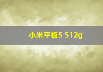 小米平板5 512g