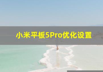 小米平板5Pro优化设置