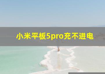 小米平板5pro充不进电