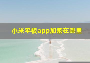 小米平板app加密在哪里