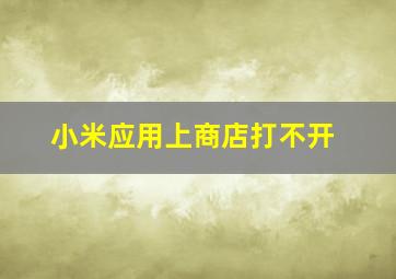 小米应用上商店打不开