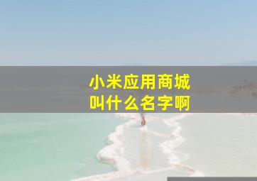 小米应用商城叫什么名字啊