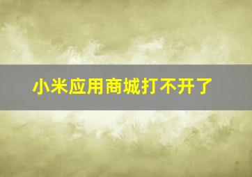 小米应用商城打不开了