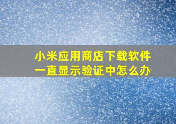 小米应用商店下载软件一直显示验证中怎么办