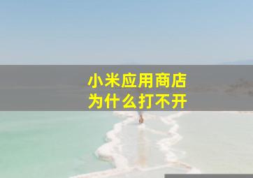 小米应用商店为什么打不开