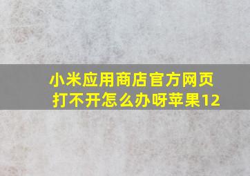 小米应用商店官方网页打不开怎么办呀苹果12