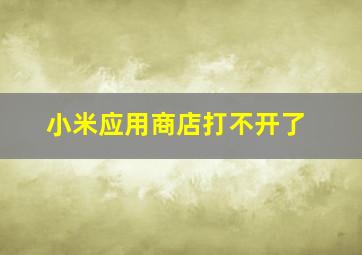 小米应用商店打不开了