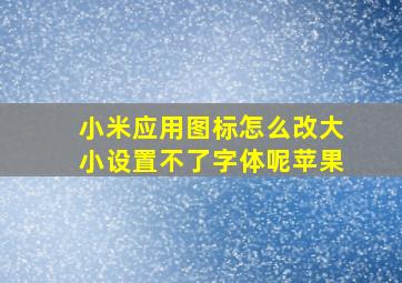 小米应用图标怎么改大小设置不了字体呢苹果