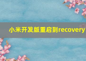 小米开发版重启到recovery