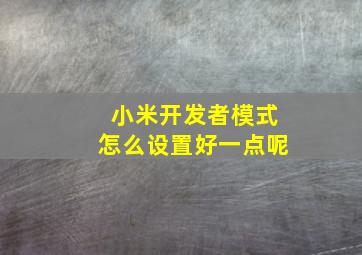 小米开发者模式怎么设置好一点呢