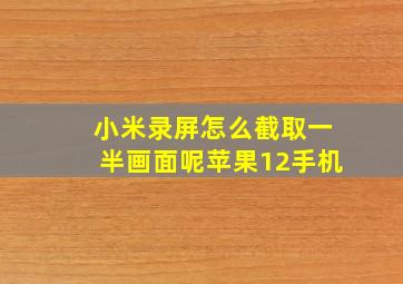 小米录屏怎么截取一半画面呢苹果12手机