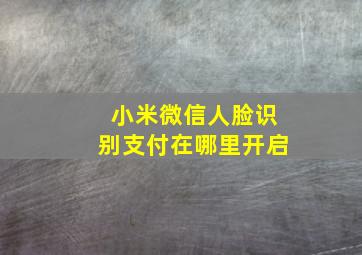 小米微信人脸识别支付在哪里开启