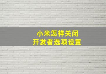 小米怎样关闭开发者选项设置