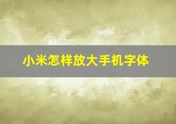 小米怎样放大手机字体