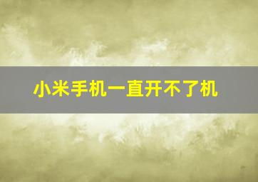 小米手机一直开不了机