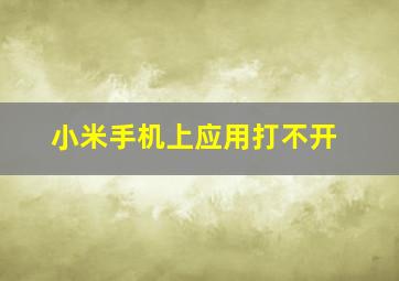 小米手机上应用打不开