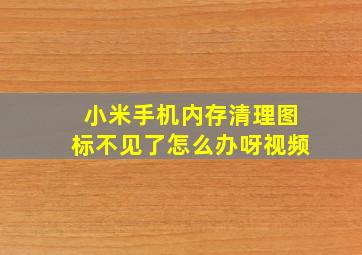 小米手机内存清理图标不见了怎么办呀视频