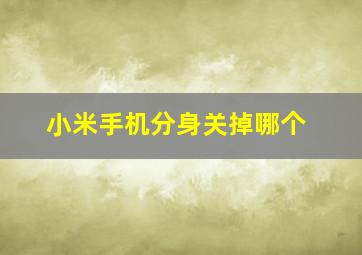 小米手机分身关掉哪个