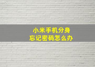 小米手机分身忘记密码怎么办