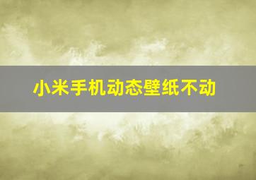 小米手机动态壁纸不动