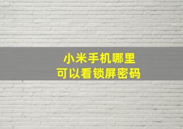 小米手机哪里可以看锁屏密码